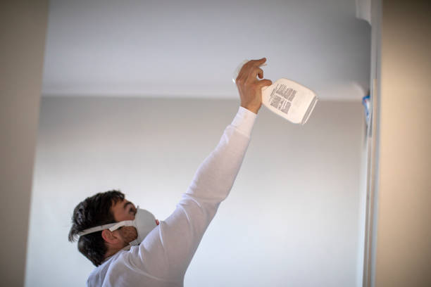 Best Post-Flood Mold Remediation in Frankl, IN
