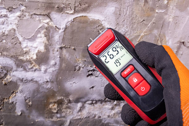 Trusted Franklin, IN Mold Remediation Experts